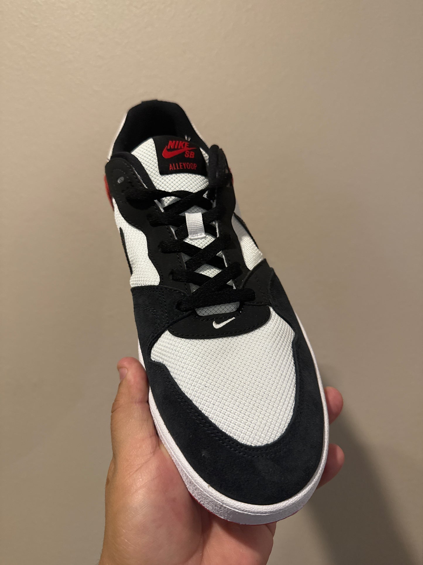 Nike SB